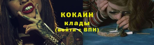 не бодяженный Дмитриев